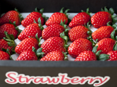 お土産用イチゴ